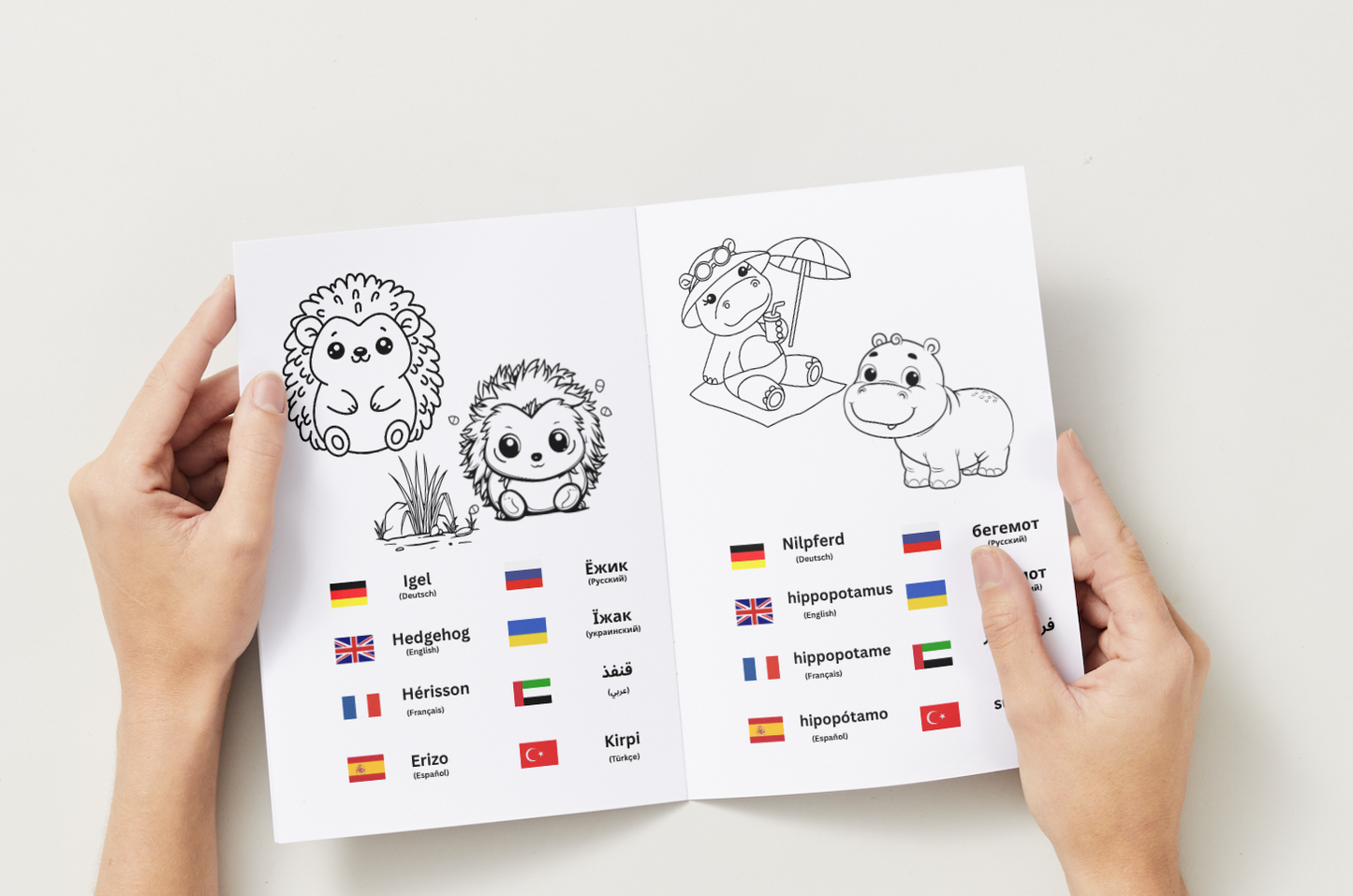 Ausmalbuch_Tiere_Innenseite_Igel